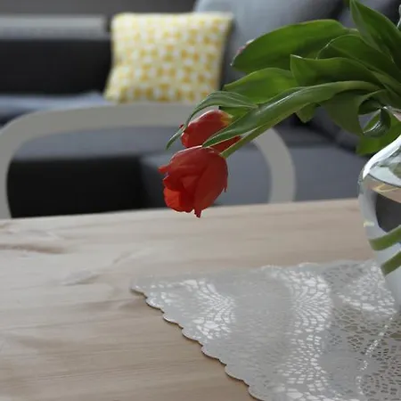 Apartament Centrum גדינייה
